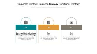 Corporate Strategy Business Strategy Functional Strategy Ppt PowerPoint Presentation Layouts Ideas Cpb