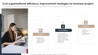 Cost Organizational Efficiency Improvement Strategies For Business Project Infographics PDF