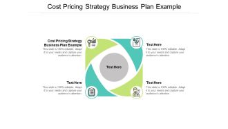 Cost Pricing Strategy Business Plan Example Ppt PowerPoint Presentation Gallery Designs Download Cpb Pdf