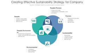 Creating Effective Sustainability Strategy For Company Ppt Styles PDF