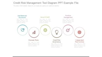 Credit Risk Management Tool Diagram Ppt Example File