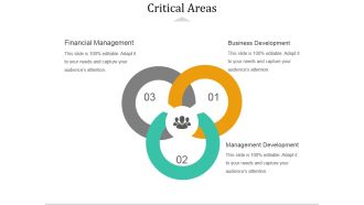 Critical Areas Ppt PowerPoint Presentation Summary Images