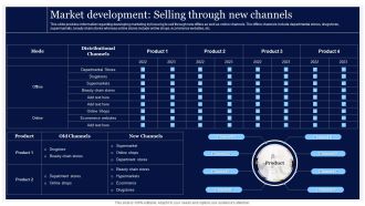Critical Initiatives To Deploy Market Development Selling Through New Channels Summary PDF