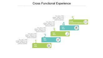 Cross Functional Experience Ppt PowerPoint Presentation Portfolio Background Images Cpb