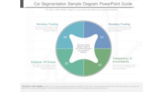 Csr Segmentation Sample Diagram Powerpoint Guide