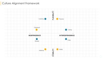 Culture Alignment Framework Diagrams PDF