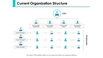 Current Organization Structure Ppt PowerPoint Presentation Summary Visual Aids