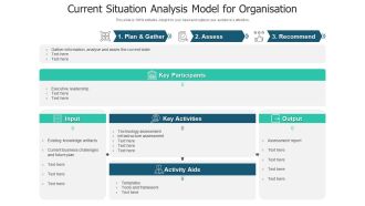 Current Situation Analysis Model For Organisation Ppt Layouts Gridlines PDF