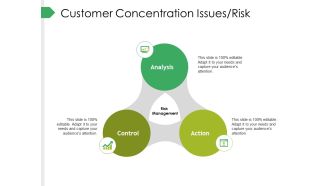 Customer Concentration Issues Risk Ppt PowerPoint Presentation Professional Graphics Template