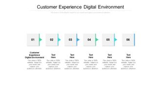 customer experience digital environment ppt powerpoint presentation icon visual aids cpb