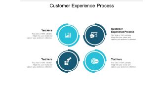 Customer Experience Process Ppt PowerPoint Presentation Model Slides Cpb