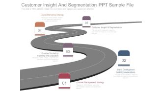 Customer Insight And Segmentation Ppt Sample File