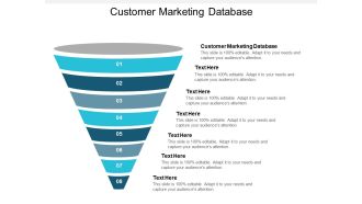 Customer Marketing Database Ppt PowerPoint Presentation Pictures Slide Download Cpb