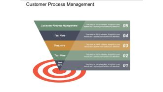 Customer Process Management Ppt PowerPoint Presentation Slide Download Cpb