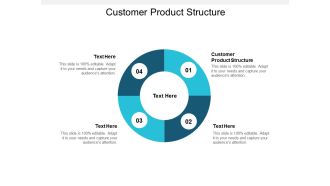 Customer Product Structure Ppt PowerPoint Presentation Portfolio Slide Portrait Cpb