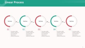 Customer Relationship Management Action Plan Linear Process Inspiration PDF