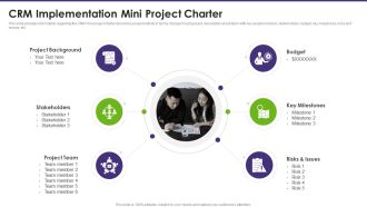 Customer Relationship Management CRM Implementation Mini Project Charter Professional PDF