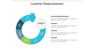 Customer Responsiveness Ppt PowerPoint Presentation Portfolio Objects Cpb