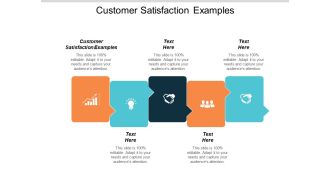 Customer Satisfaction Examples Ppt PowerPoint Presentation Portfolio Background Cpb