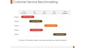 Customer Service Benchmarking Ppt PowerPoint Presentation File Example