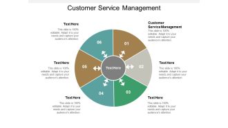 Customer Service Management Ppt PowerPoint Presentation Portfolio Graphics Template Cpb