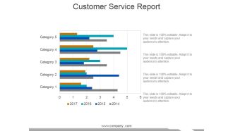 Customer Service Report Template 2 Ppt PowerPoint Presentation Portfolio Professional