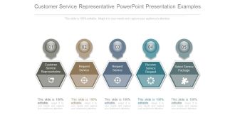 Customer Service Representative Powerpoint Presentation Examples