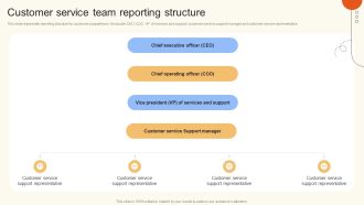 Customer Service Team Reporting Structure Ppt Inspiration Model PDF
