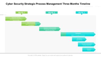 Cyber Security Strategic Process Management Three Months Timeline Introduction