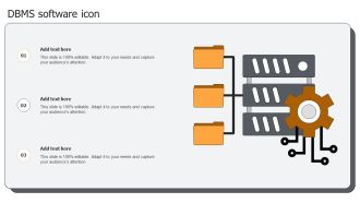 DBMS Software Icon Ppt PowerPoint Presentation Icon Example File PDF