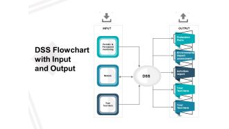 DSS Flowchart With Input And Output Ppt PowerPoint Presentation Gallery Slides PDF