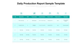 Daily Production Report Sample Template Ppt PowerPoint Presentation Gallery Templates PDF
