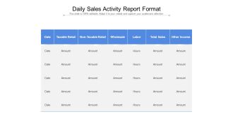 Daily Sales Activity Report Format Ppt PowerPoint Presentation Professional Visuals PDF