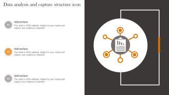 Data Analysis And Capture Structure Icon Professional PDF