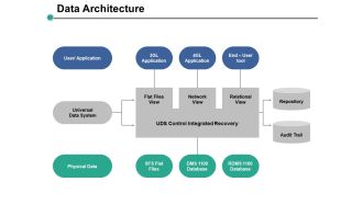 Data Architecture Ppt PowerPoint Presentation Professional Skills