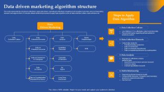 Data Driven Marketing Algorithm Structure Ppt Model Example File PDF