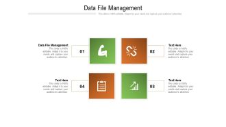 Data File Management Ppt PowerPoint Presentation Ideas Shapes Cpb Pdf