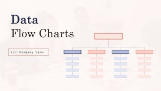 Data Flow Charts Ppt PowerPoint Presentation Complete Deck With Slides