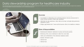 Data Governance IT Data Stewardship Program For Healthcare Industry Inspiration PDF