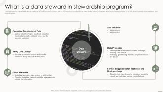 Data Governance IT What Is A Data Steward In Stewardship Program Elements PDF