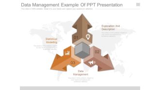 Data Management Example Of Ppt Presentation