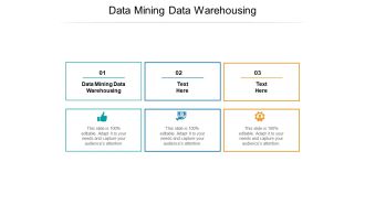 Data Mining Data Warehousing Ppt PowerPoint Presentation Layouts Example File Cpb Pdf
