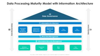Data Processing Maturity Model With Information Architecture Background PDF