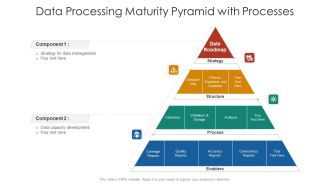 Data Processing Maturity Pyramid With Processes Template PDF