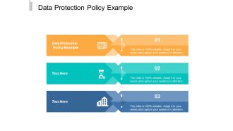 Data Protection Policy Example Ppt Powerpoint Presentation Outline Templates Cpb