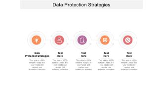 Data Protection Strategies Ppt PowerPoint Presentation Icon Master Slide Cpb