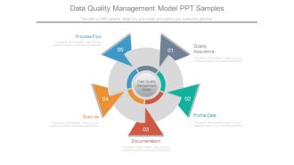 Data Quality Management Model Ppt Samples