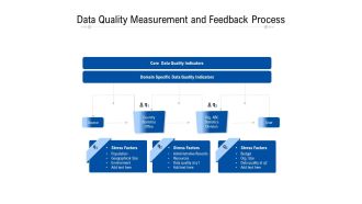 Data Quality Measurement And Feedback Process Ppt PowerPoint Presentation File Guidelines PDF