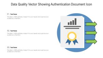 Data Quality Vector Showing Authentication Document Icon Ppt PowerPoint Presentation Gallery Tips PDF