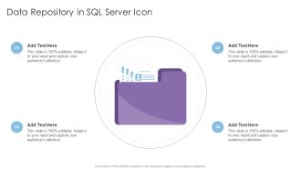 Data Repository In SQL Server Icon Professional PDF